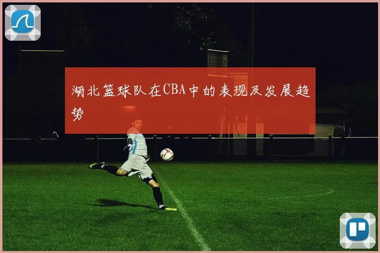 湖北篮球队在CBA中的表现及发展趋势