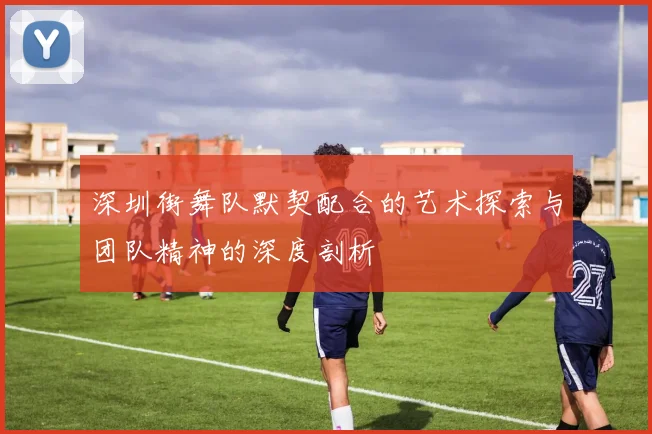 深圳街舞队默契配合的艺术探索与团队精神的深度剖析